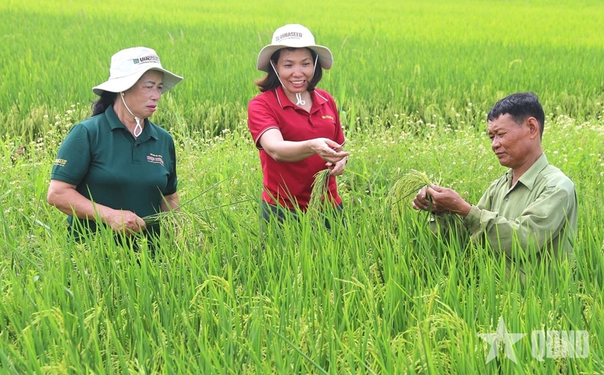 Mở rộng giá trị nông nghiệp qua xuất khẩu giống cây trồng